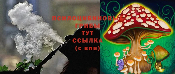 MESCALINE Аркадак