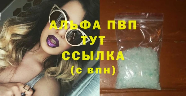 стаф Киренск
