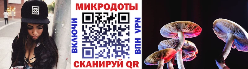 Галлюциногенные грибы Psilocybe Новый Уренгой
