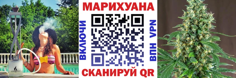 Марихуана план  Новый Уренгой 